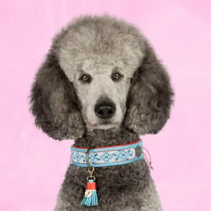 Dutchie Hondenhalsband L (Halsomvang 40-47 cm / 4 cm)