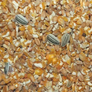 Wielink Scharrelgraan