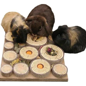 Rosewood Maze-A-Log Treat Challenge