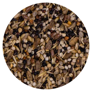 Vaesen Distelvinken “Karel Schonkeren” WINTER (242)