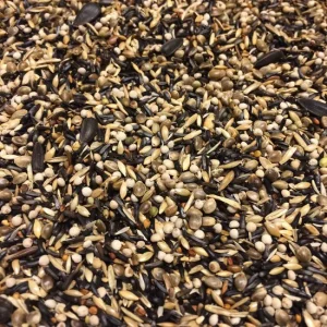 OBIE 15.6 Putter Speciaal