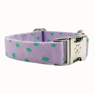 Polkadot - Halsband Hond