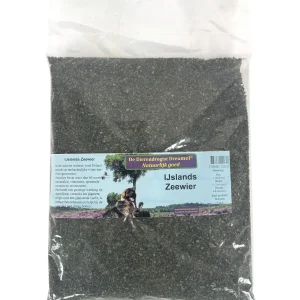 Dierendrogist Ijslands Zeewier