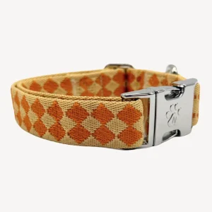 Checkers - Halsband Hond