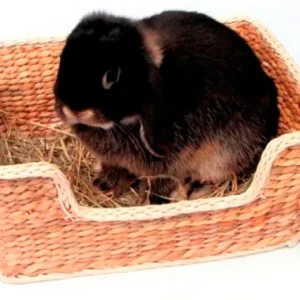 Rosewood Chill 'N' Snooze Knaagdierbed