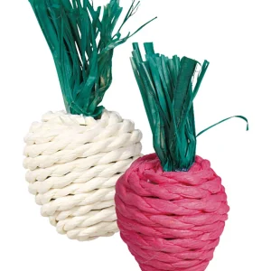 Trixie Radijs En Rettich Met Stro