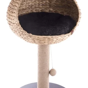 Martin Krabpaal Vietnam Met Mand Druppel Waterhyacint