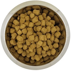 Yourdog Koningspoedel Volwassen