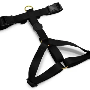 Morso Hondentuig H-Tuig Gerecycled Gold Caviar Goud