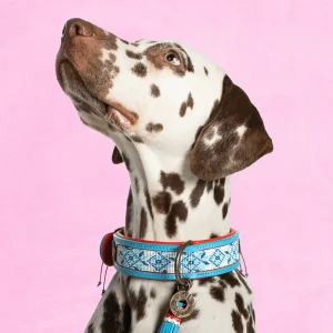 Dutchie Hondenhalsband XL (Halsomvang 48-57 cm / 4 cm)