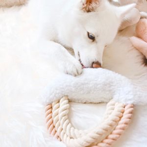 Regenboog hondenspeeltje Iris