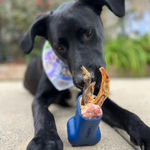 Voerspeeltje FreezBone Bruin