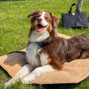 Hondenmat voor op reis premium kurk