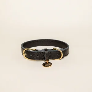 Halsband - Royal Black