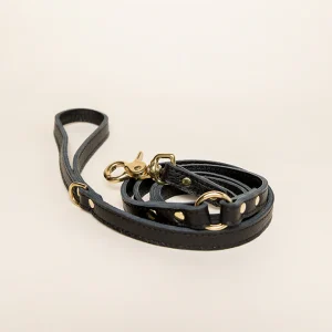 Hondenlijn - Royal Black