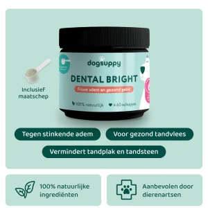 🎁 Dental Bright