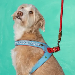 Dutchie Hondentuigje Maat 4 (38-42 cm)