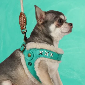 Frenkie Turquoise Hondentuigje Maat 2 (27-32 cm)