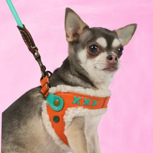 Jottum Orange Hondentuigje Maat 1 (25,5-27,5 cm)