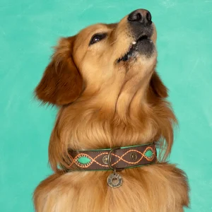 Urban Joplin Hondenhalsband XL (Halsomvang 48-57 cm / 4 cm)