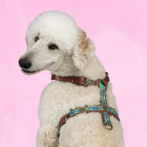 Boho Juan Tuigje L  (63-76 cm)