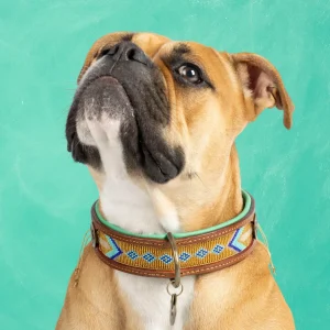 Beads Indi Moon Hondenhalsband L (Halsomvang 40-47 cm / 4 cm)