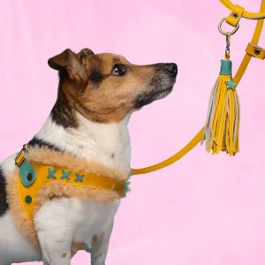 Mokum Geel Hondentuigje Maat 6 (45-50 cm)