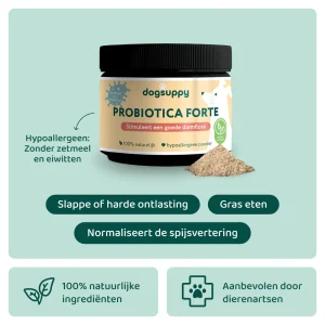 Probiotica Forte Poeder 🌿 60 schepjes