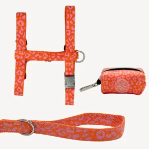 Panter - Oranje/roze - Trail Explorer Set
