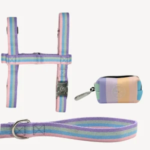 Regenboog - Trail Explorer Set