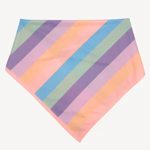 Regenboog - Bandana