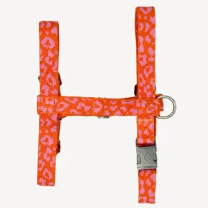 Panter - Oranje/roze - Tuigje / Harnas Hond