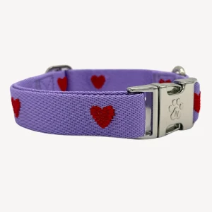 Hearts - Paars - Halsband Hond
