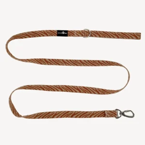 Zebra - Hondenriem