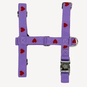 Hearts - Paars - Tuigje / Harnas Hond