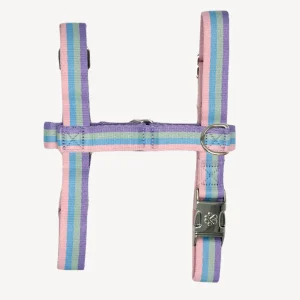 Regenboog - Tuigje / Harnas Hond