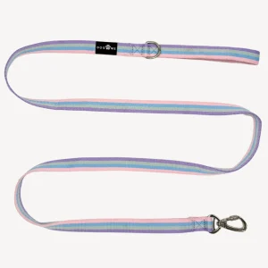 Regenboog - Hondenriem