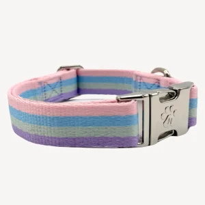 Regenboog - Halsband Hond