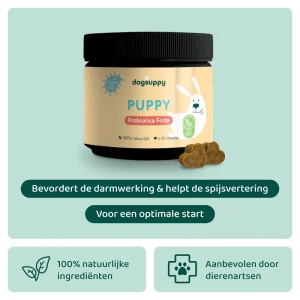 Puppy Probiotica (Zonder vlees) 🌿 45 chews