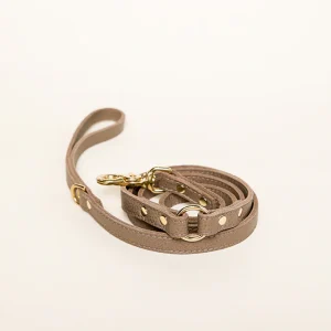 Hondenlijn - Royal Taupe