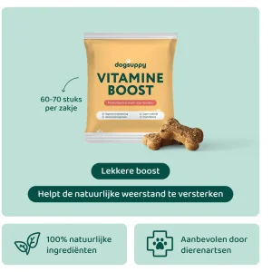 Vitamine Boost 🌿 60-70 stuks/zakje