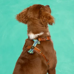 Boho Juan Tuigje XXS (33-39 cm)