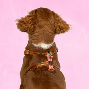 Boho Rosa Tuigje XXS (33-39 cm)