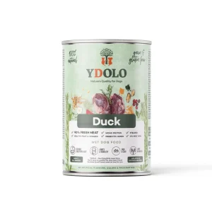 Ydolo Natvoer Duck