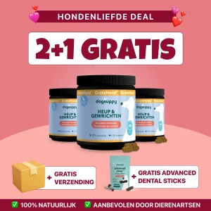 Heup & Gewrichten GroteHond⁺ | 90 snoepjes