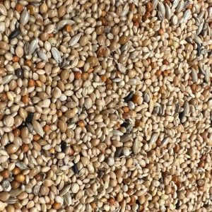 Tropisch zaad Birdshop Eindhoven