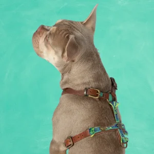 Boho Juan Tuigje M (54,5-68 cm)