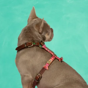 Boho Rosa Tuigje M (54,5-68 cm)