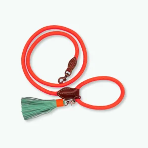 Classic Carrot Cake Hondenriem L (155 cm X 1,4 cm)