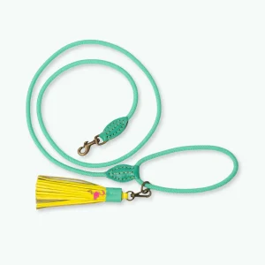 Chogogo Hondenriem S (165 cm X 1 cm)